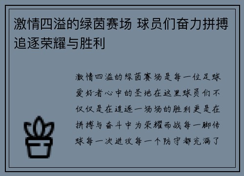 激情四溢的绿茵赛场 球员们奋力拼搏追逐荣耀与胜利