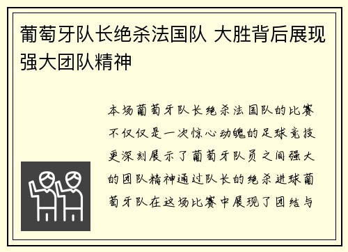 葡萄牙队长绝杀法国队 大胜背后展现强大团队精神